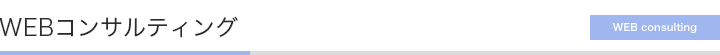 WEBコンサルティング